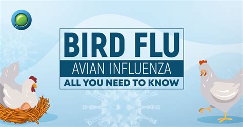 Bird Flu and Hollow Trailers: A Call for Increased Awareness and Education